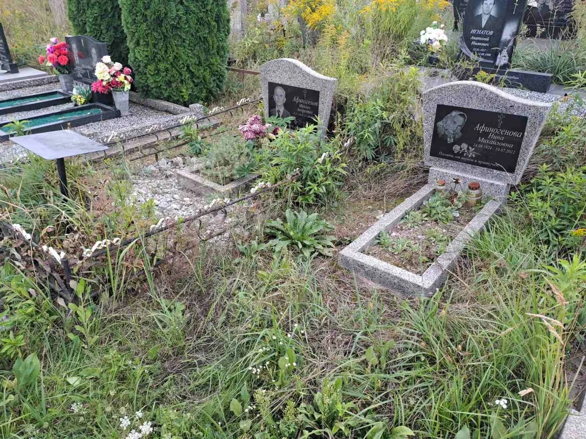 Реконструкция памятника 2:  ДО